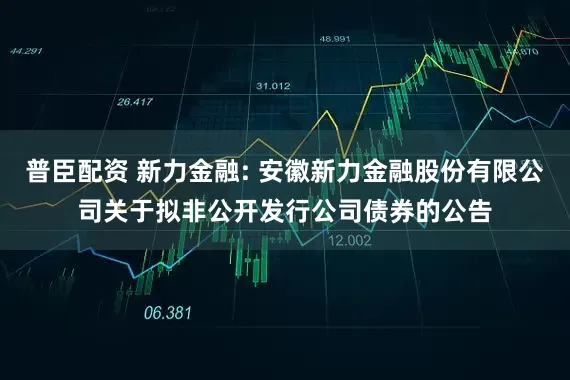普臣配资 新力金融: 安徽新力金融股份有限公司关于拟非公开发行公司债券的公告