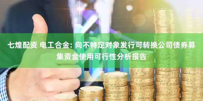 七煌配资 电工合金: 向不特定对象发行可转换公司债券募集资金使用可行性分析报告