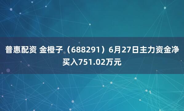普惠配资 金橙子（688291）6月27日主力资金净买入751.02万元