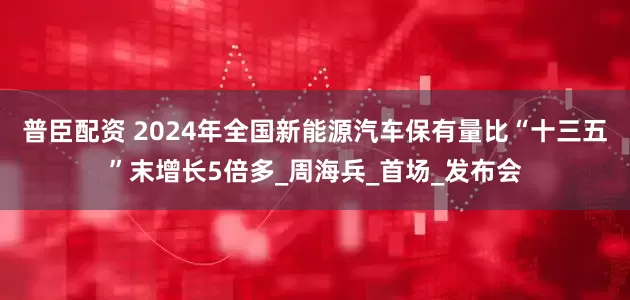 普臣配资 2024年全国新能源汽车保有量比“十三五”末增长5倍多_周海兵_首场_发布会