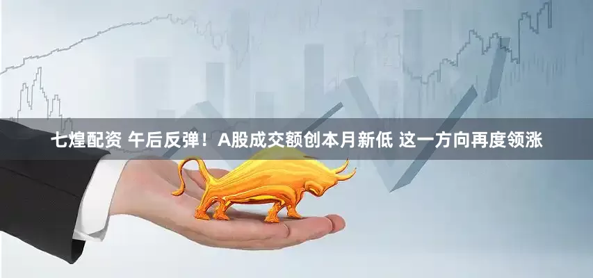 七煌配资 午后反弹！A股成交额创本月新低 这一方向再度领涨